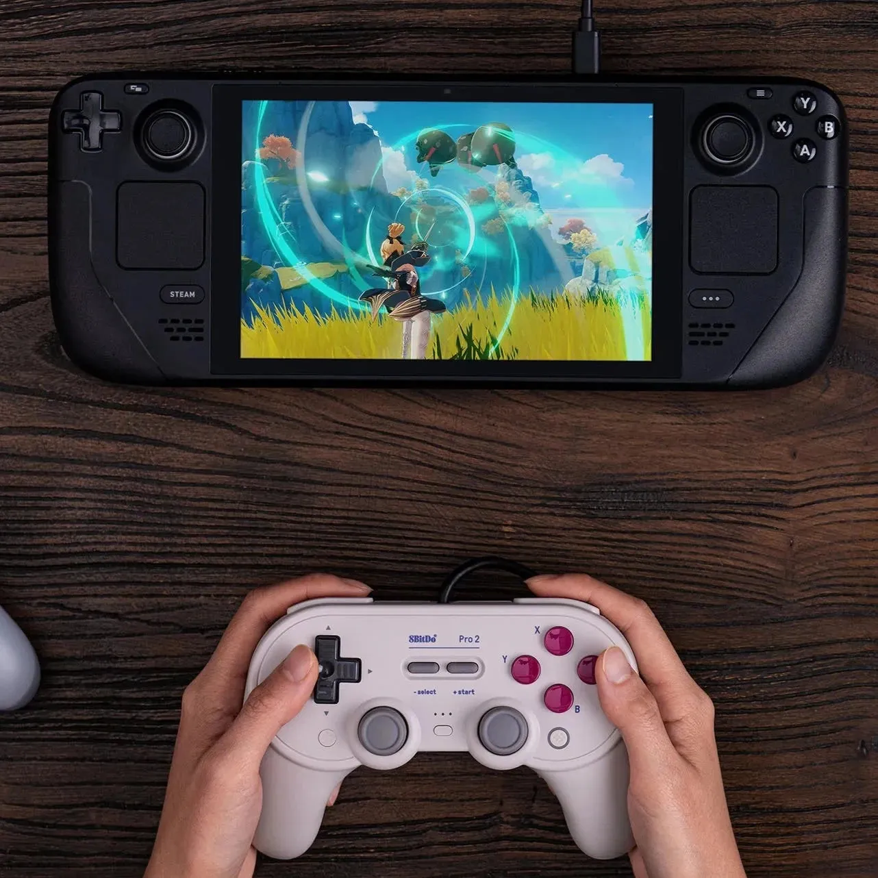 8BitDo Pro 2 USB Controller: For Switch, PC, Steam, Pi