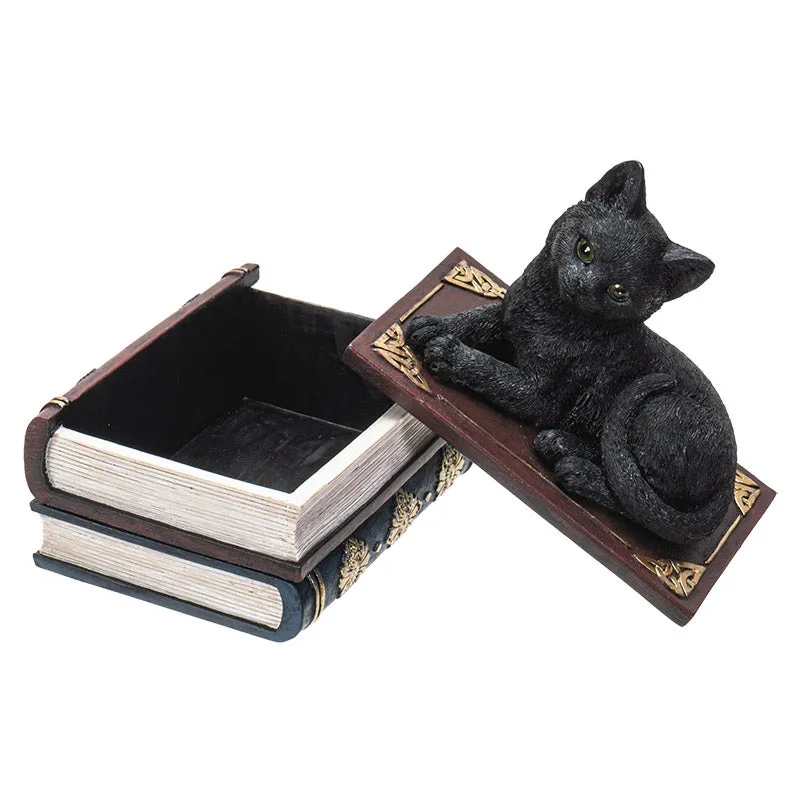 BLACK CAT ON BOOK BOX C/24