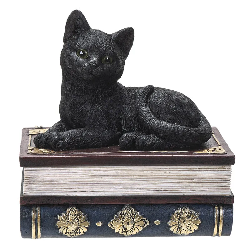 BLACK CAT ON BOOK BOX C/24