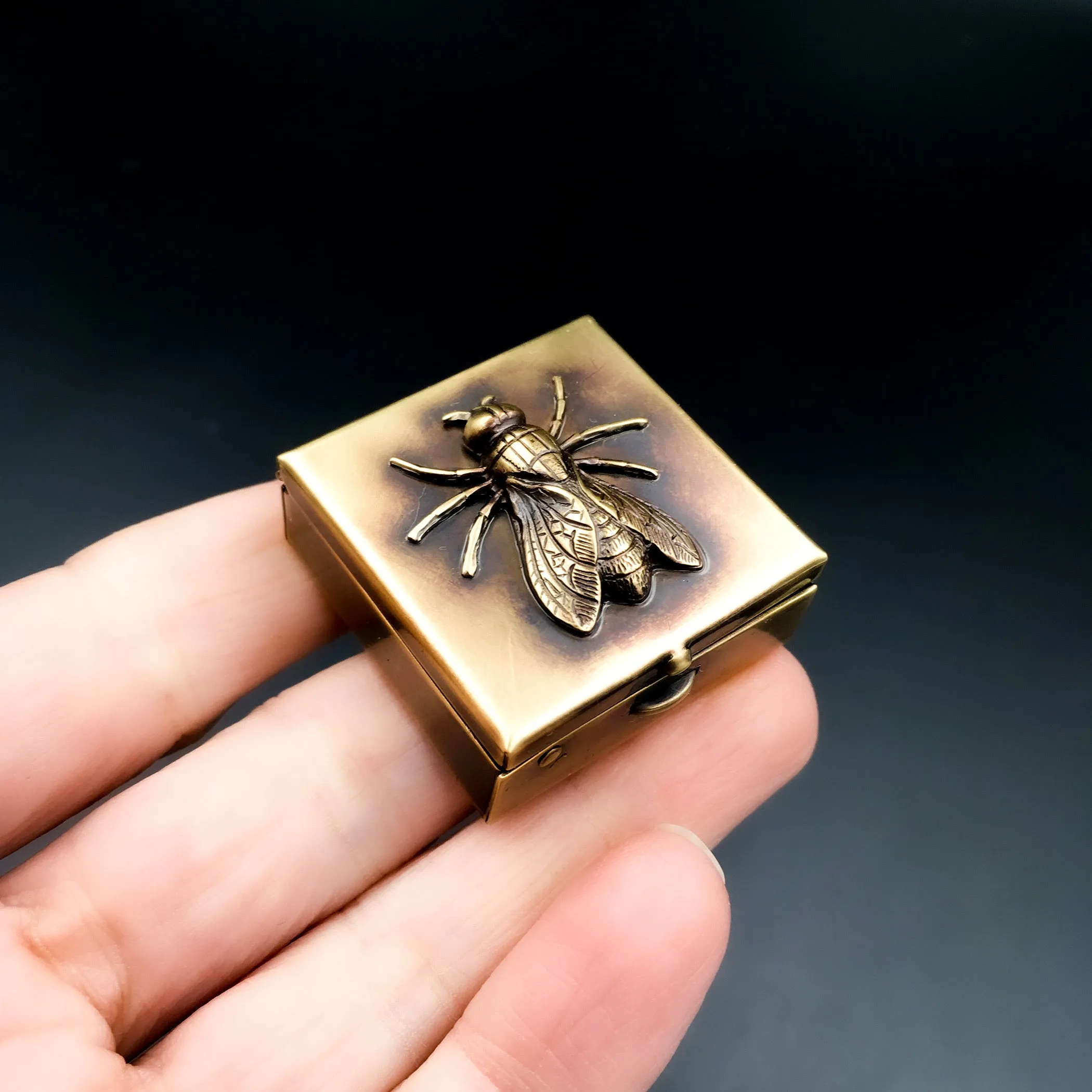 Brass Pill Box with Your Choice of Fly, Wasp, Scarab Beetle, or Long Horned Beetle!