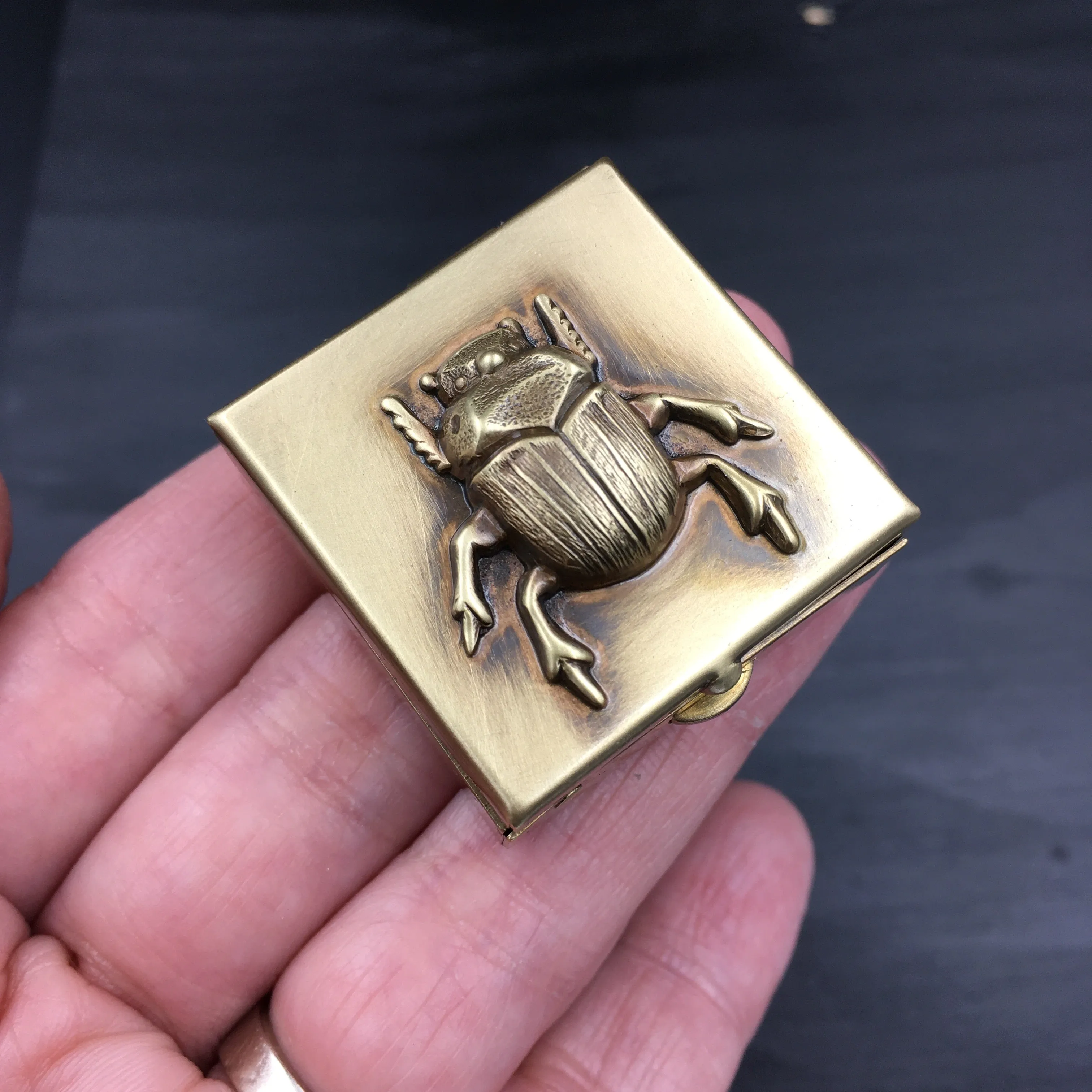 Brass Pill Box with Your Choice of Fly, Wasp, Scarab Beetle, or Long Horned Beetle!