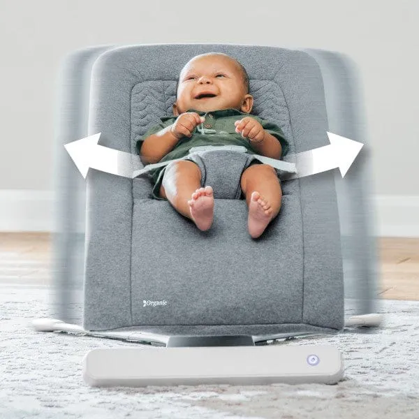 Chicco E-Motion Auto-Glider & Bounce - Grey