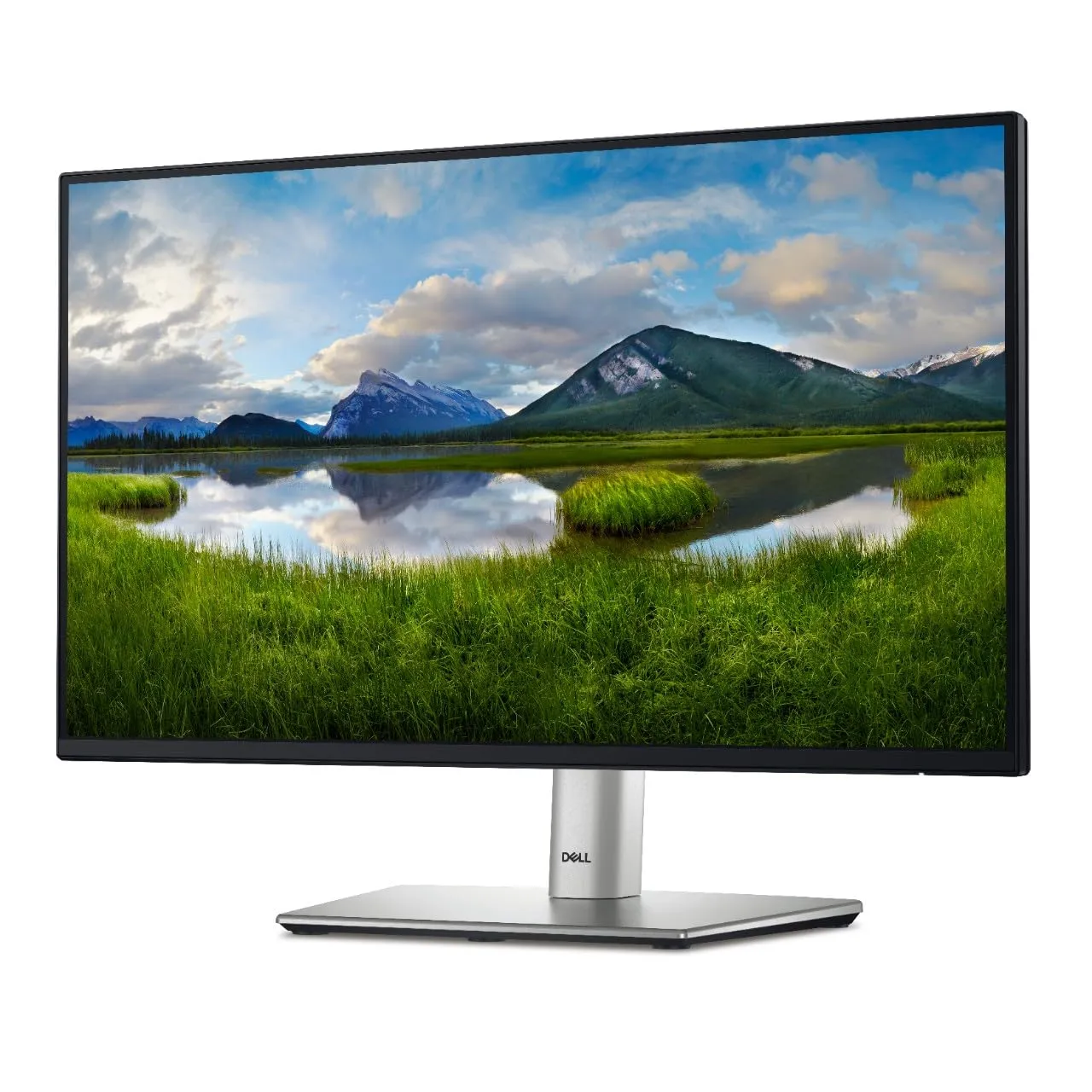 Dell 24 Inch Monitor P2422h Full Hd 1080p Ips With Comfortview Plus