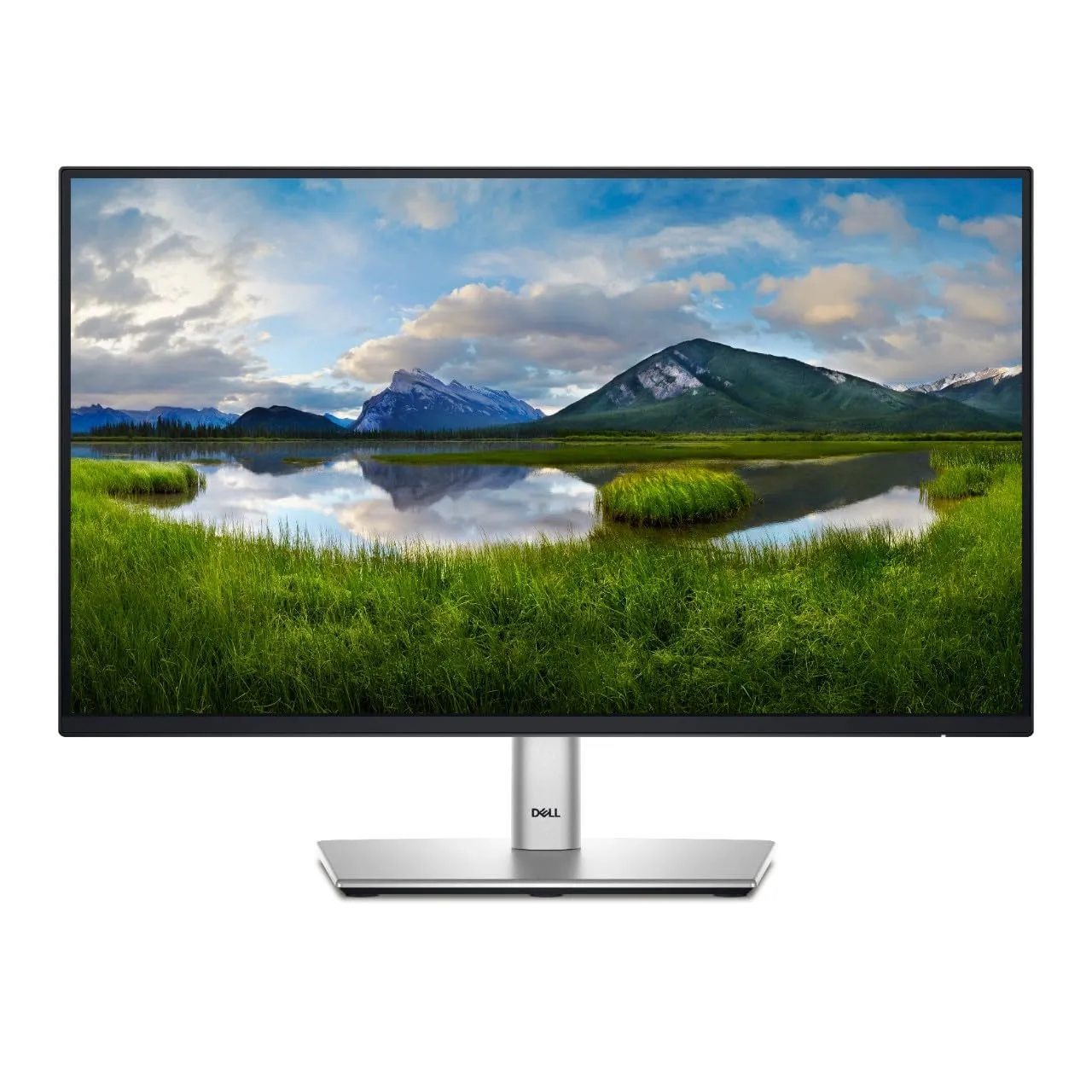 Dell 24 Inch Monitor P2422h Full Hd 1080p Ips With Comfortview Plus