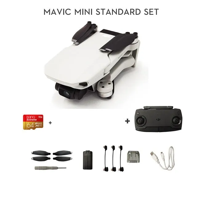 DJI Mavic Mini fly drone