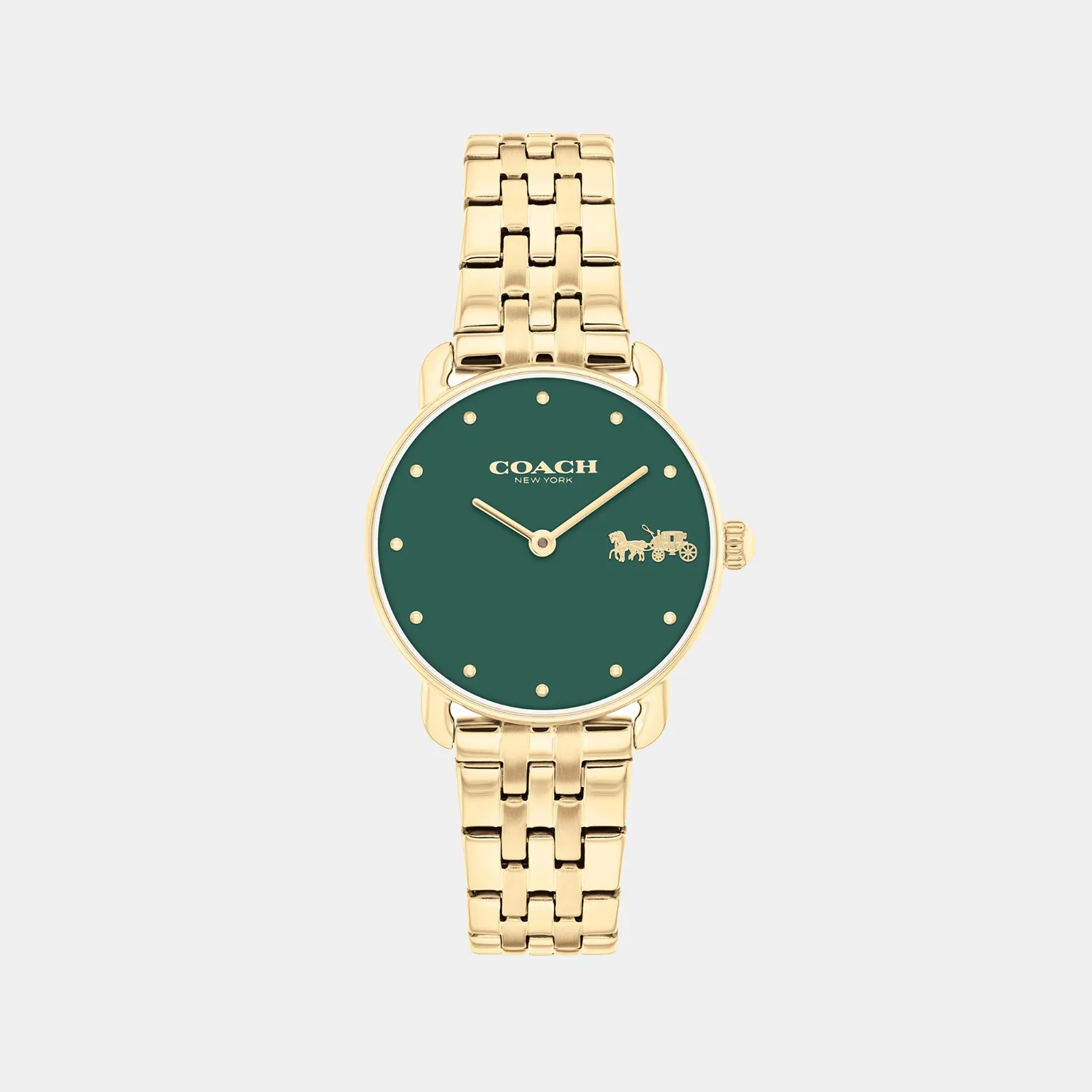 Elliot Women Quartz Green Dial Analog Stainless Steel Watch 14504443