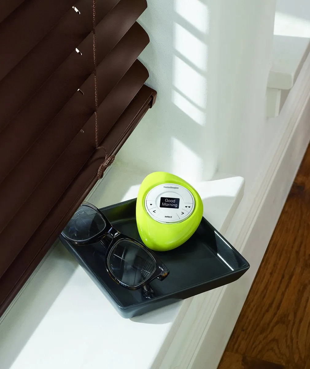 Hunter Douglas PowerView Pebble Scene Controller