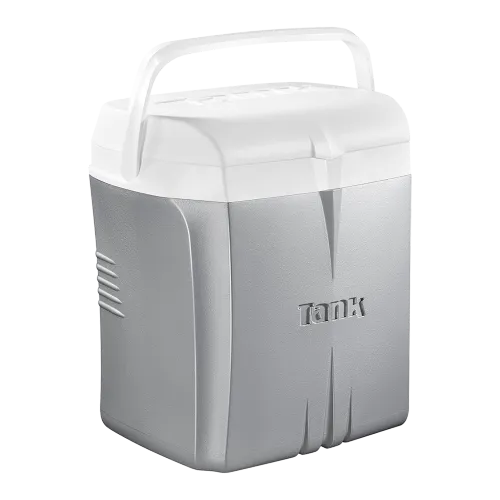 Ice Box 23 L - Silver