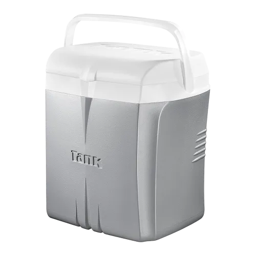 Ice Box 23 L - Silver