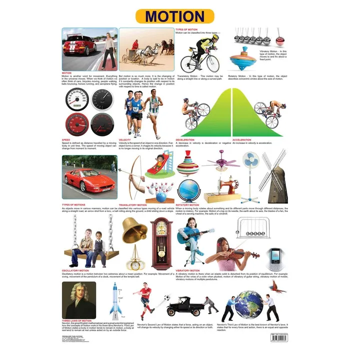 Motion - Chart