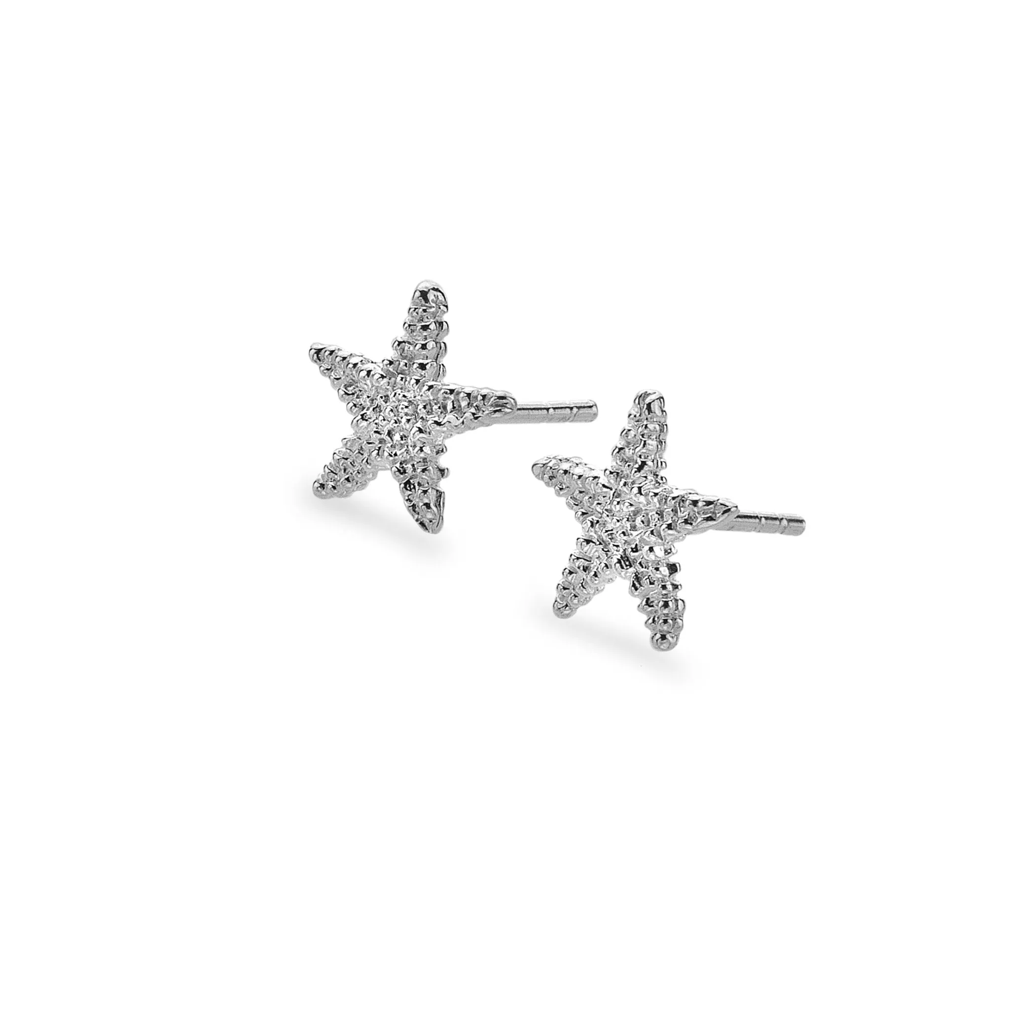 Mounts Bay Starfish Studs