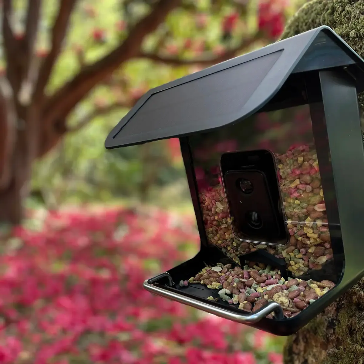 NatureSpy WiFi BirdCam Pro