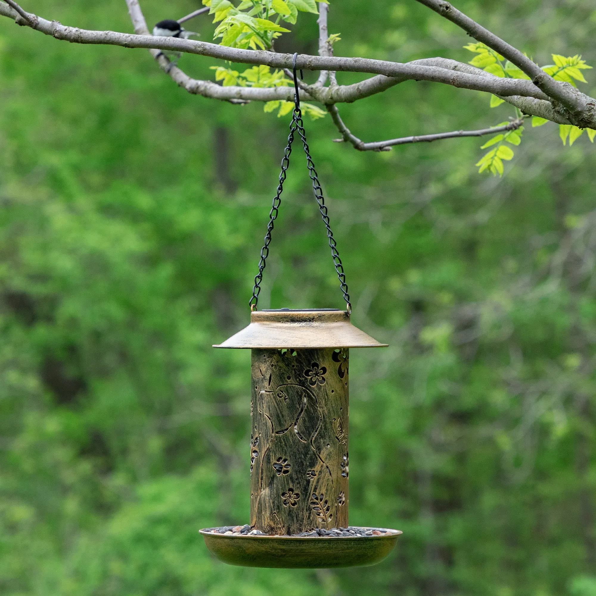 Paws & Flowers Solar Bird Feeder