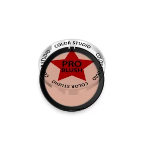 PRO BLUSH - 231 AZTEC