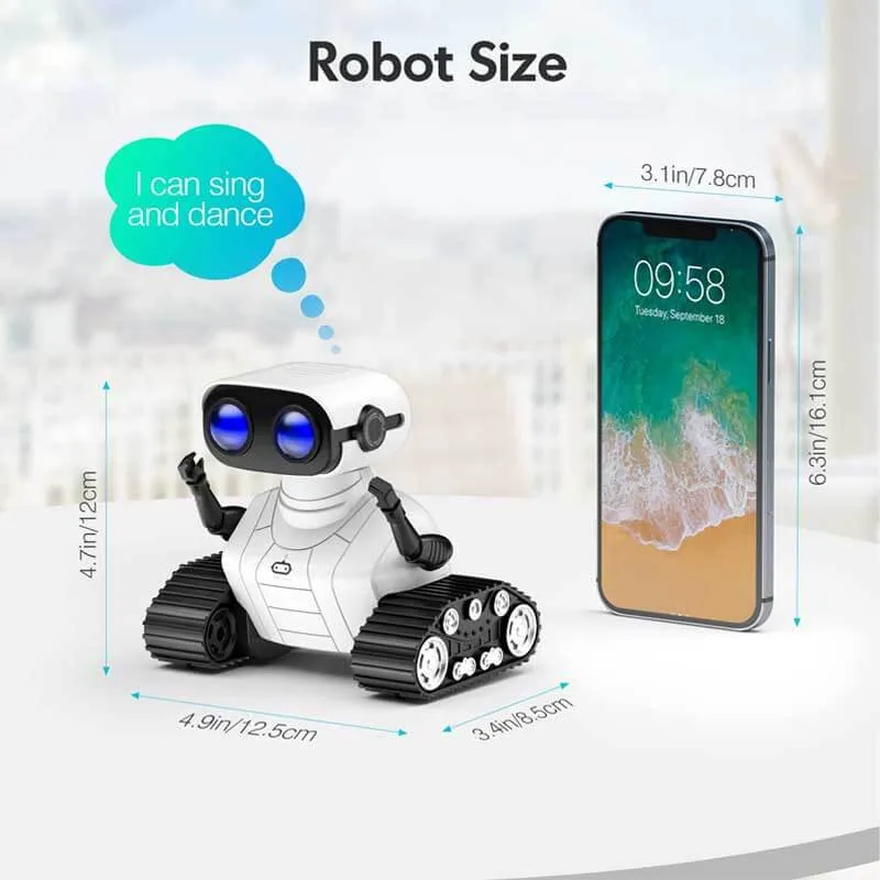 Remote Control Robot Toy