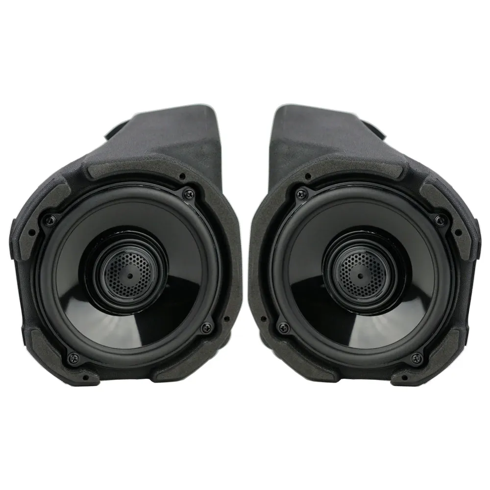 Rockford Fosgate RZR19PXP-STG4