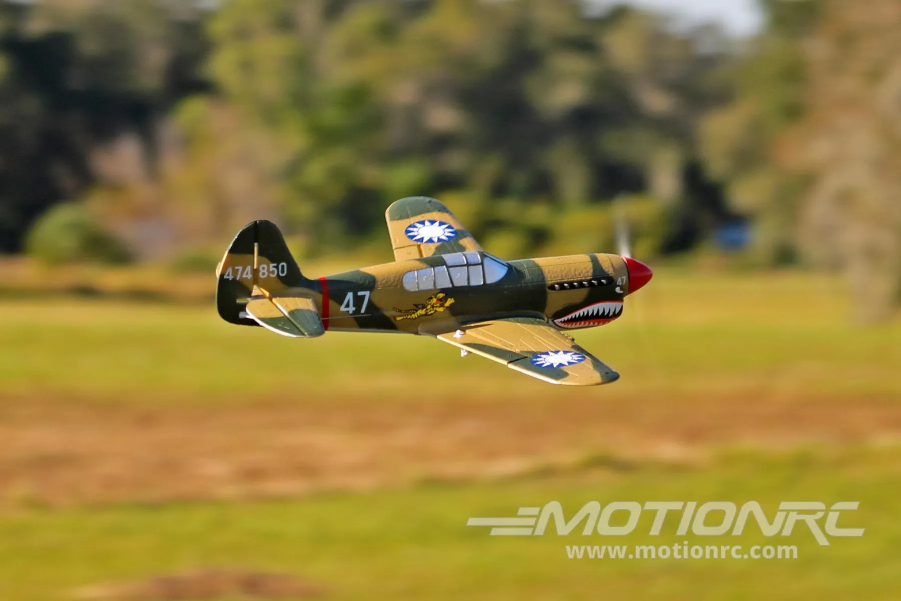 Skynetic P-40 EPP with Gyro 400mm (15.7") Wingspan - RTF