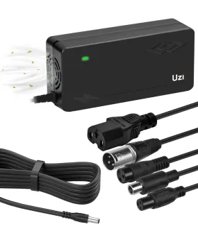 Universal 54.6V 3Amp Fast Charger ( with 6 Adapter Outputs)